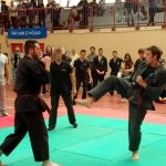 defi-tayson-2015-1057