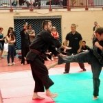 defi-tayson-2015-1060