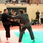 defi-tayson-2015-1061