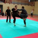 defi-tayson-2015-1068