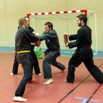 defi-tayson-2015-1084