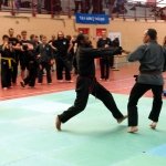 defi-tayson-2015-1088