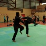 defi-tayson-2015-1094