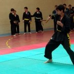 defi-tayson-2015-1103