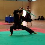 defi-tayson-2015-1111