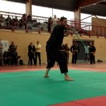 defi-tayson-2015-1120
