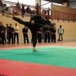 defi-tayson-2015-1122