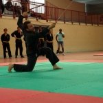 defi-tayson-2015-1131