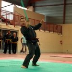 defi-tayson-2015-1134
