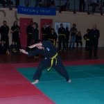defi-tayson-2015-123