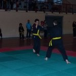 defi-tayson-2015-127