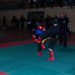 defi-tayson-2015-133
