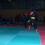 defi-tayson-2015-137