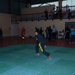 defi-tayson-2015-151