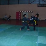 defi-tayson-2015-156