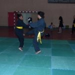 defi-tayson-2015-159