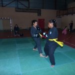defi-tayson-2015-164