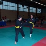 defi-tayson-2015-201