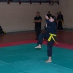 defi-tayson-2015-217