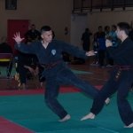 defi-tayson-2015-228