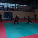 defi-tayson-2015-229