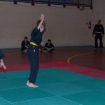 defi-tayson-2015-231