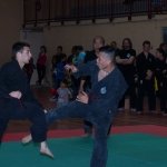 defi-tayson-2015-237