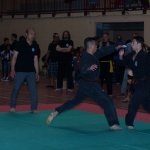 defi-tayson-2015-238