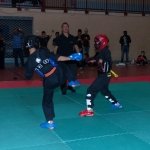 defi-tayson-2015-241