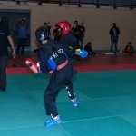 defi-tayson-2015-242