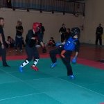 defi-tayson-2015-243