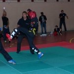 defi-tayson-2015-249