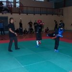 defi-tayson-2015-250