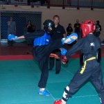 defi-tayson-2015-259
