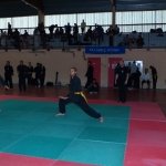 defi-tayson-2015-261