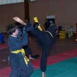 defi-tayson-2015-272