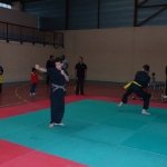 defi-tayson-2015-276