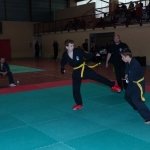 defi-tayson-2015-287