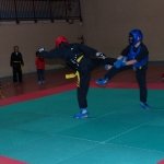 defi-tayson-2015-290