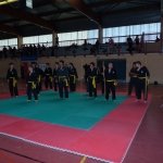 defi-tayson-2015-325