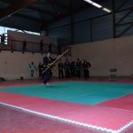 defi-tayson-2015-328