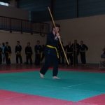 defi-tayson-2015-335