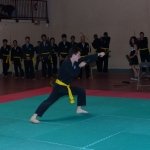 defi-tayson-2015-344