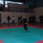 defi-tayson-2015-353