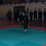 defi-tayson-2015-374