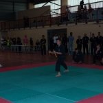 defi-tayson-2015-375