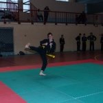 defi-tayson-2015-379