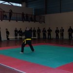 defi-tayson-2015-380