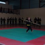 defi-tayson-2015-381