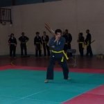 defi-tayson-2015-383